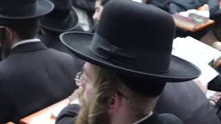 אוקראינה אומן התשפ"ד: "במקום הזה לכל אדם עם לב יהודי נפתח הלב... וכל אחד מרגיש כאן בבית"...