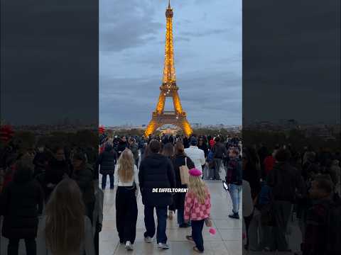 Wij namen de kinderen als verrassing mee naar Parijs! 🇫🇷