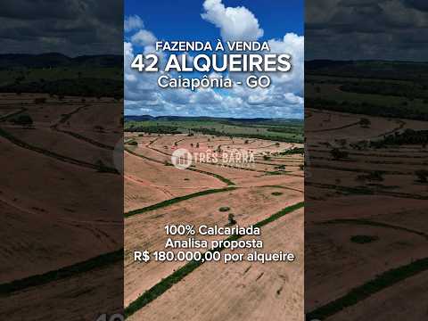 FAZENDA DE DUPLA APTIDÃO | 42 ALQUEIRES (203,28 HECTARES) | CAIAPÔNIA –GO