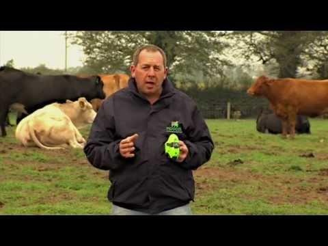 Moocall calving sensor