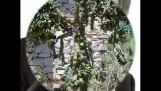 WHEN I FALL IN LOVE-(ZPG)Dusko Gojkovic-Brano LIkic