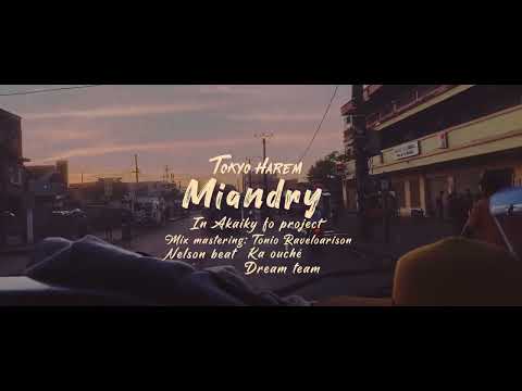 Tokyo Harem - Miandry (official visualiser )