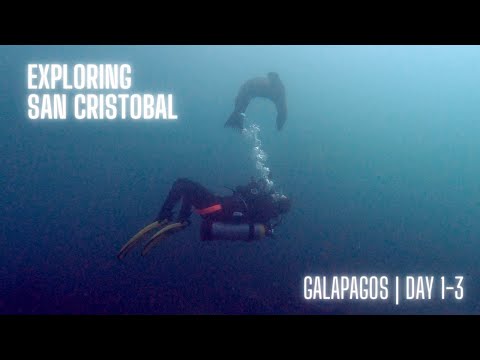 3 Days in San Cristobal, Galapagos | Solo woman diver meets sea lions, caves, wrecks and more :)