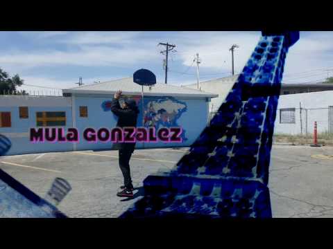 $MG$ - A Trip [OFFICIAL MUSIC VIDEO]