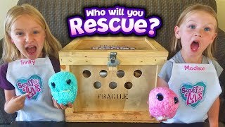 Rescued Crate Creatures! We Found them Scruffy and MakeThem Fluffy! Scruff a Luvs Toy Unboxing!