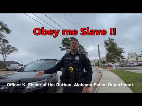 image-What percentage of Dothan Alabama is black?