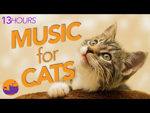 LONGEST EVER Music for Cats - Extreme Relaxation (Tried & Tested)