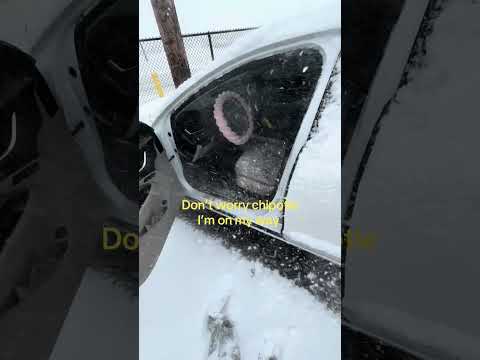 Anything for my @Chipotle