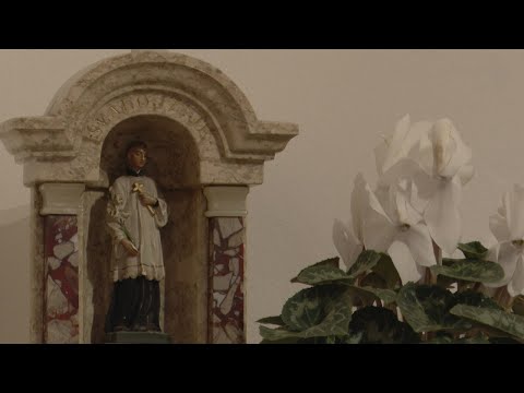 Pregled dana - Proslava Stepinčeva u Karmelu u Brezovici