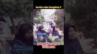 Download lagu 🔴kacida suka bungahna panganten atos laksana #shortvideos mp3 Download lagu 🔴kacida suka bungahna panganten atos laksana #shortvideos mp3