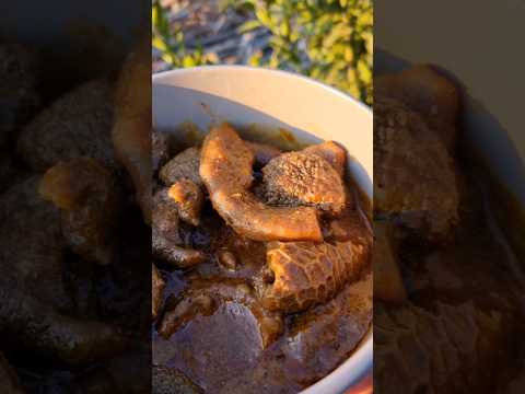Lamb tripe #tisnesmabunda #tripe #mogodu #openfirecooking  #cooking #food #villagelife