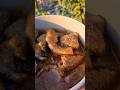 Lamb tripe #tisnesmabunda #tripe #mogodu #openfirecooking  #cooking #food #villagelife