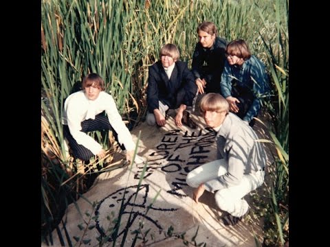 CHILDREN OF THE MUSHROOM -You Can't Erase A Mirror