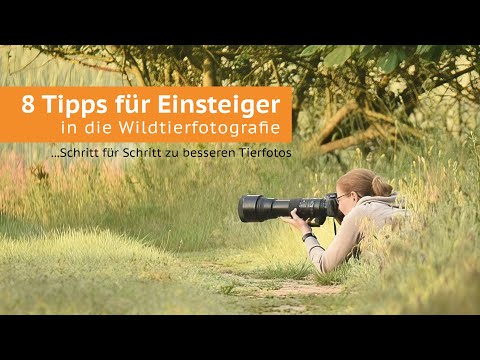 8 Tipps für Einsteiger in die Wildtierfotografie...Schritt für Schritt zu besseren Tierfotos