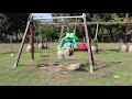 Mundo Rural | Equinos da Quinta Pedagógica de Pentieiros