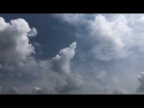 Bobcat 52 1300mm wingspan powered by King Tech K30 Engine