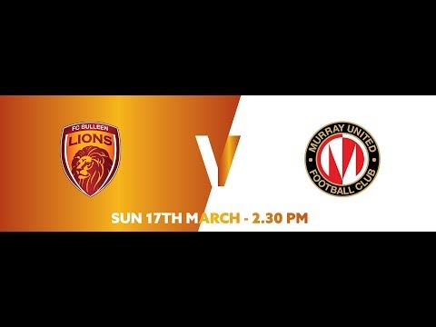 2019 NPL2 East Round 5 - FC Bulleen Lions vs Murray United