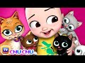 மியாவ் மியாவ் பூனைக்குட்டி (Poonai Kutty Song) - ChuChu TV Tamil Songs f