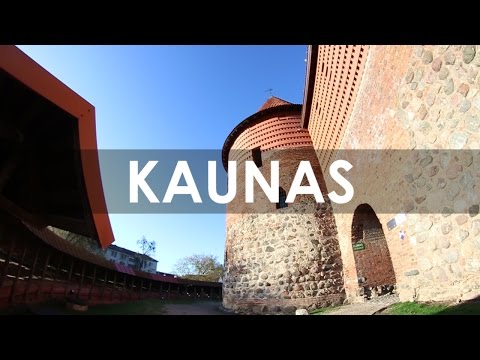 „Žalgiris-2“: jauniausia NKL komanda siekia čempionų titulo