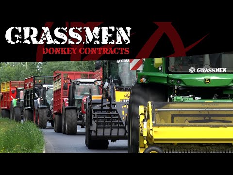 DONKEY CONTRACTS - Donkey's Cut