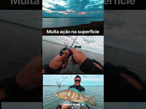 Ação na superfície | Pescaria em São Simão Go