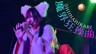 椎名ひかり /「魔界狂操曲」Live Lyric Video