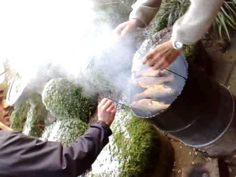 Forel roken Hasselt!