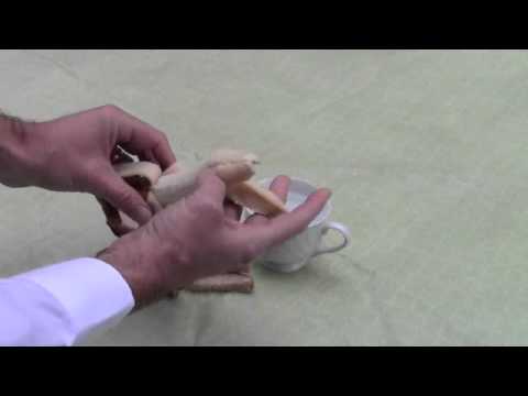 YouTube video thumbnail