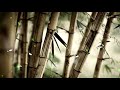 Maharaja Hip Hop Remix Me Tera Diwana Hip Hop Mix Akshay The A