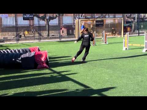 Anna Mel Agility 2ª Divisio