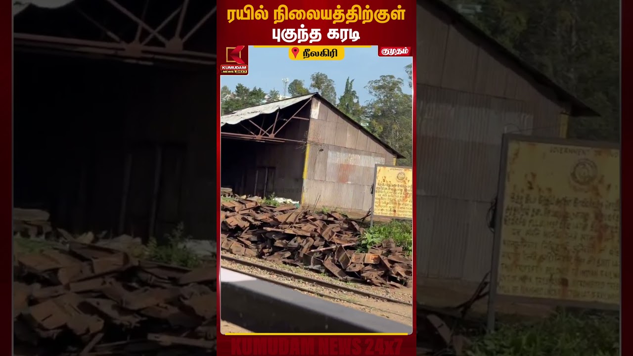 ரயில் நிலையத்திற்குள்புகுந்த கரடி | Bear | RailwayStation | Kumudam News