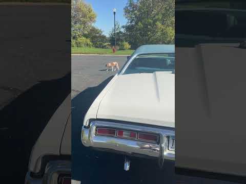 1972 Chevrolet Caprice Classic (CC-2118179) for sale in Eagan, Minnesota
