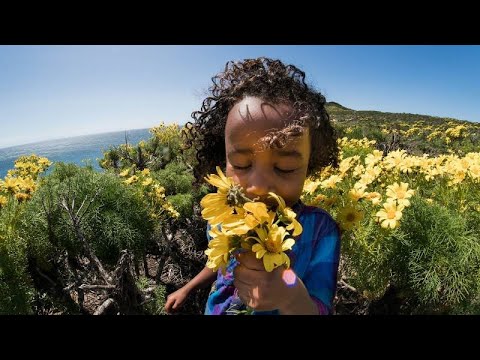 Coral da Economia - Eu Sou Criança (Eu sou Flor)