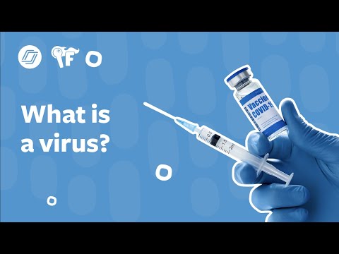 What is a Virus?