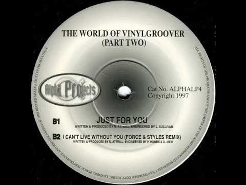 Vinylgroover - I Can't Live Without You (Force & Styles Remix)