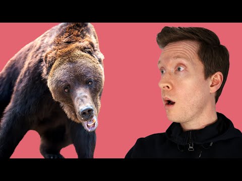 Learn Russian From Scratch: The Ultimate Guide For Beginners