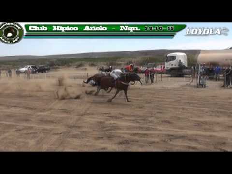 Carpan - Añelo 18 de octubre