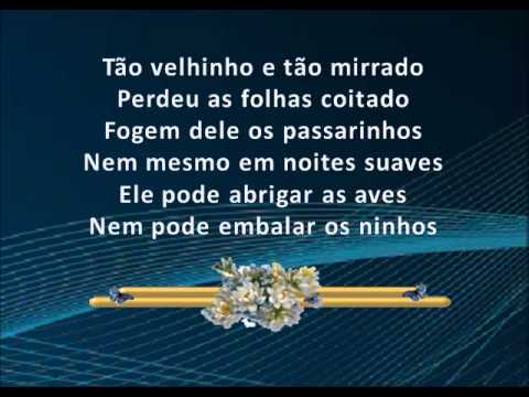 Maria Teresa de Noronha - Fado do Castanheiro