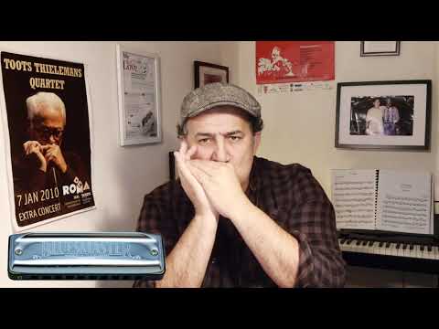 Suzuki Diatonic Harmonica Bluesmaster MR-250 by Alex Rossi