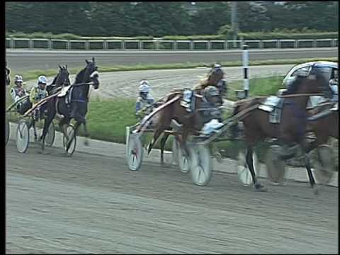 Trotto 02/06/2016 - 8° corsa