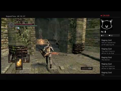 Dank  Shells - big boi shells