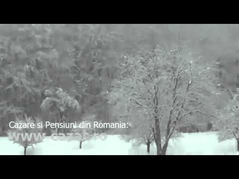 Cazare Sicula, Arad - Cazat.ro