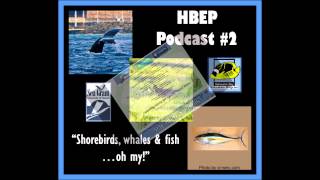 preview picture of video 'HBEP Podcast #2 - Shorebirds, whales & fish...oh my!'