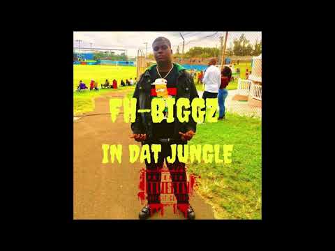 FH Biggz - In Dat Jungle (AUDIO)