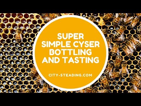 Super Simple Cyser Bottling and Tasting