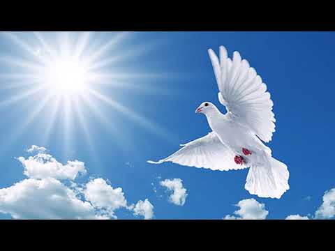 Gebet zum Heiligen Geist