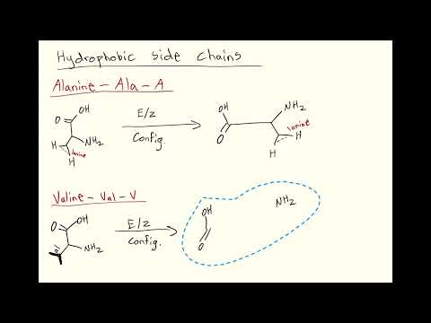 How To MEMORIZE The 20 Amino Acids FAST and EASY | PART 1