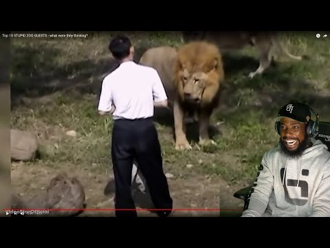 WHAT ARE THESE PEOPLE THINKING!? Top 15 STUPID ZOO GUESTS!