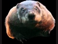 Hey Phil Video Wmv