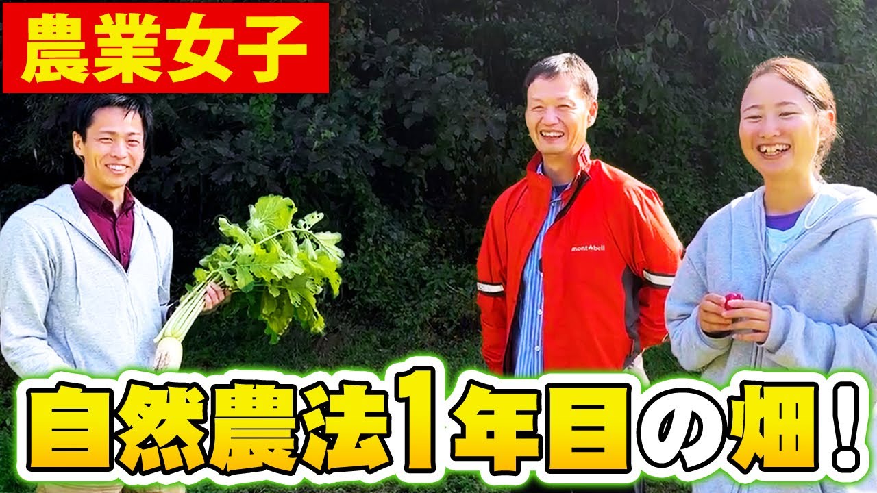 岐阜で挑む就農1年目の自然農法